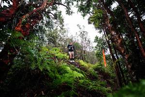 BIB: 
                            <button type="button" onclick="openModal(26201248)" class="btn btn-primary btn-sm float-right btn-popup" data-toggle="modal" data-target=".modal-high-quality">
                        <i class="fas fa-shopping-cart"></i> Add to Cart
                    </button>
                                            <button type="button" onclick="isThisMe(26201248, true)" class="btn btn-success btn-sm float-right btn-popup btn-isme hidden" data-toggle="tooltip" data-placement="bottom" title="นี่คือรูปของคุณใช่ไหม คลิกที่นี่เพื่อเอาเข้าอัลบั้ม">
                        <i class="fas fa-plus"></i> Add to album
                    </button>
                    <button type="button" onclick="isThisMe(26201248, false)" class="btn btn-warning btn-sm float-right btn-popup btn-isnotme hidden">
                        <i class="fas fa-ban"></i> Remove from album
                    </button>